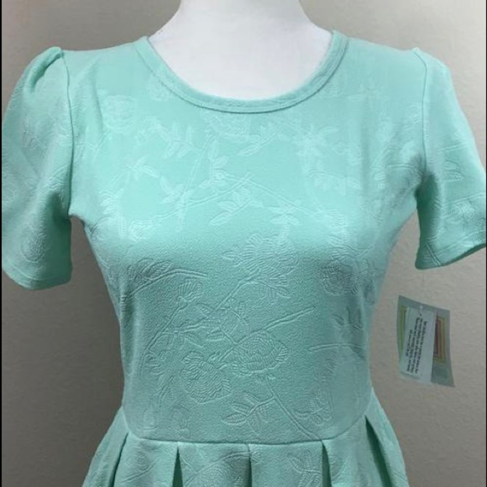 LuLaRoe Amelia Dress
